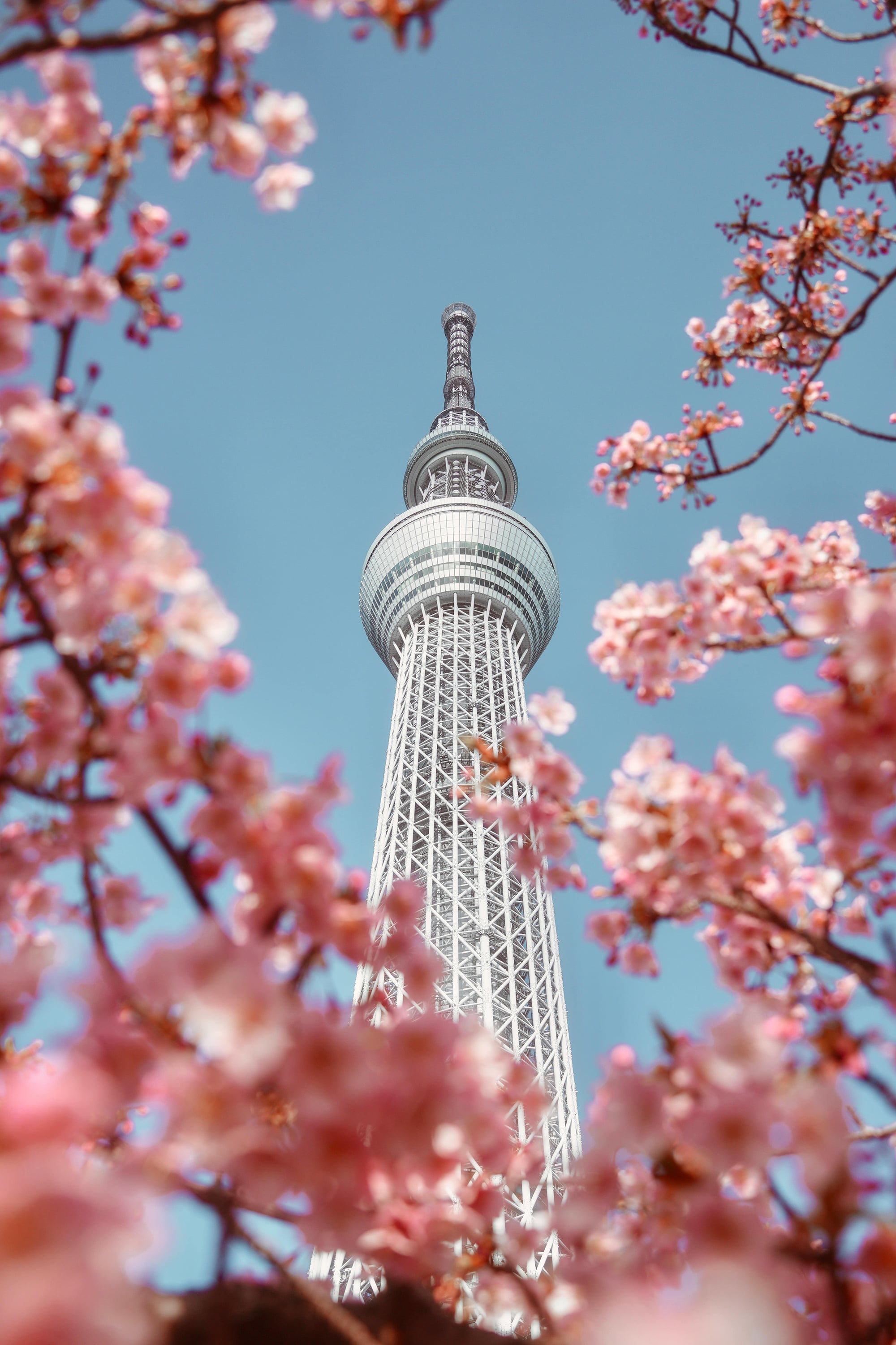 Skytree